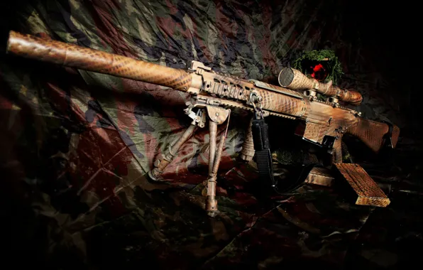 Картинка оружие, винтовка, снайперская, самозарядная, SR-25