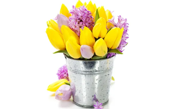 Картинка цветы, букет, тюльпаны, flowers, tulips, ведерко, bouquet, гиацинты, hyacinths, bucket