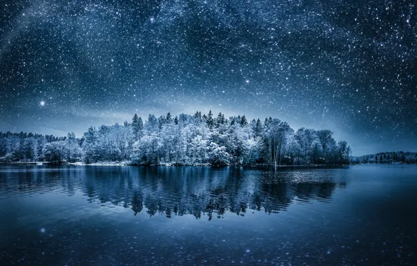 Картинка небо, деревья, ночь, отражение, звёзды, Winterland