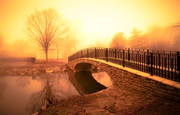 Картинка light, river, fog, pond, golden morning, footbridge