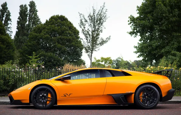 Картинка оранжевый, Lamborghini, Murcielago, orange, LP670-4, ламборгини