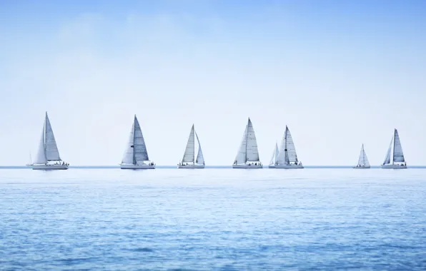Картинка water, yacht, sailing, sailboat, group regatta, race on sea, panoramic view