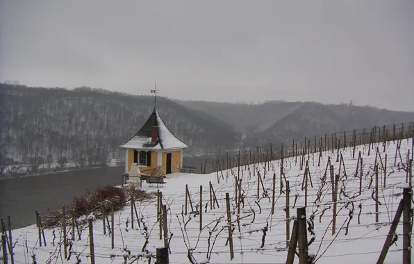 Картинка river, winter, snow, fog, cloudy, riverside, vineyard