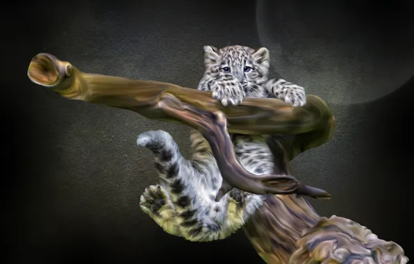 Картинка коряга, ирбис, детёныш, Photoshop, снежный леопард