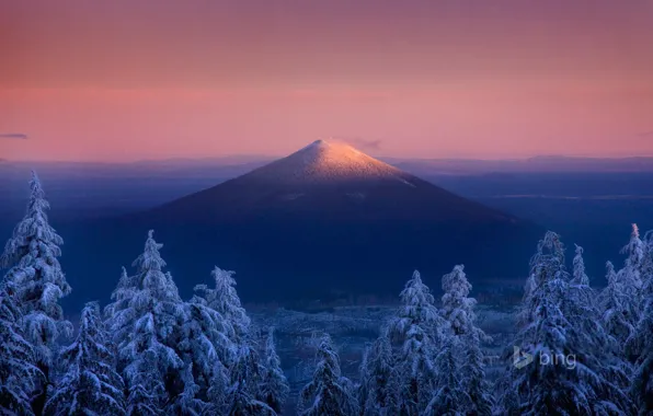 Картинка зима, лес, небо, снег, гора, Орегон, США