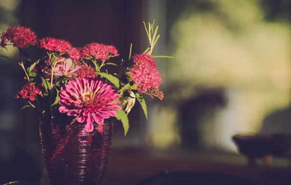 Картинка свет, цветы, ваза