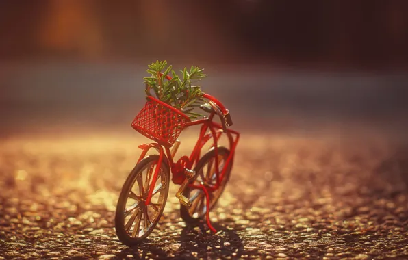 Картинка велосипед, корзина, куст, тень, солнечный свет