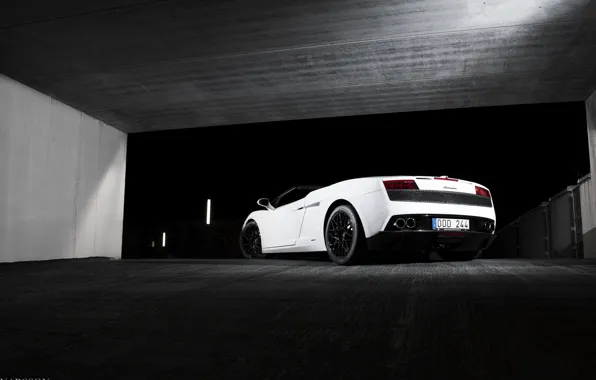 Картинка Lamborghini, белая, white, Gallardo, lambo, ламборгини, 560-4