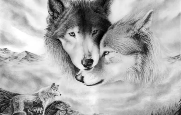 Картинка взгляд, любовь, нежность, рисунок, пара, волки