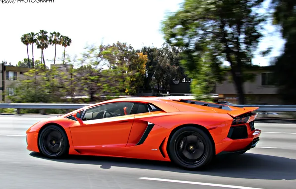 Картинка Lamborghini, Orange, Aventador, sport car