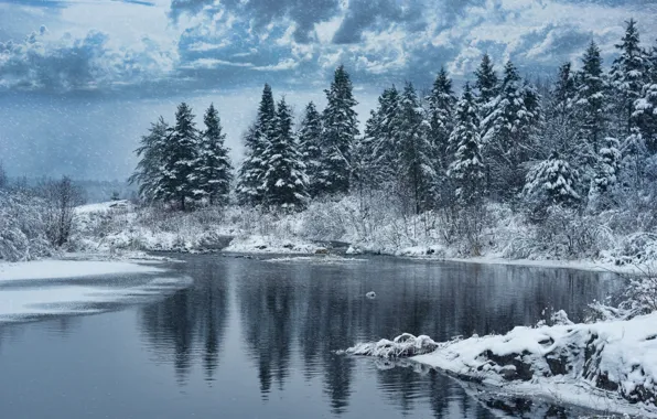 Картинка зима, лес, снег, деревья, природа, озеро