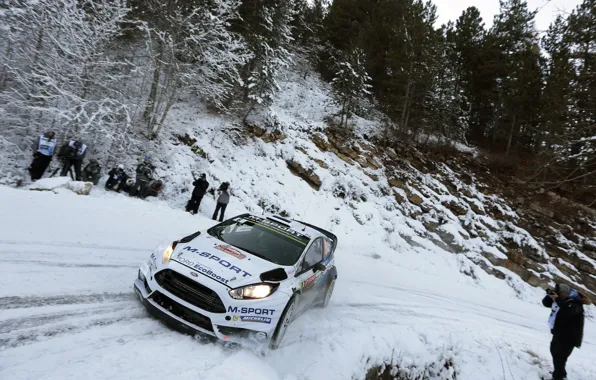 Картинка Ford, Снег, WRC, Rally, Fiesta, Ott Tanak