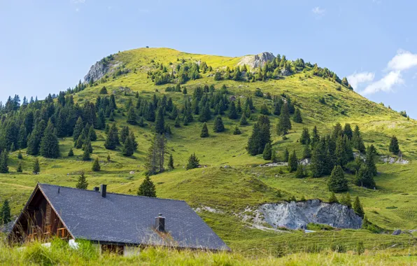 Картинка трава, деревья, дом, гора, Швейцария, склон, Davos, Jakobshorn
