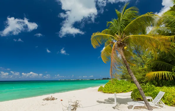 Картинка песок, море, пляж, пальмы, берег, summer, beach, sea, sand, shore, paradise, palms, tropical