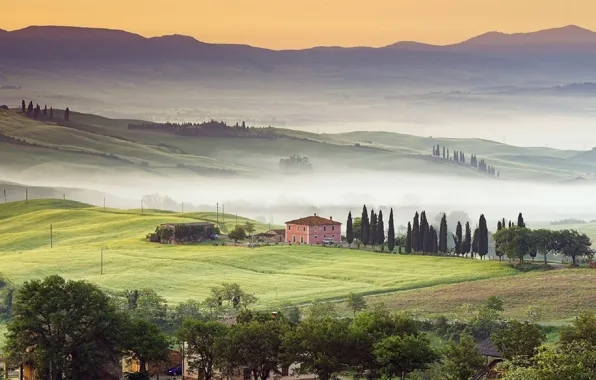 Картинка туман, Италия, house, Italy, hills, кипарис, mist, Tuscany, Тосканы, cypress