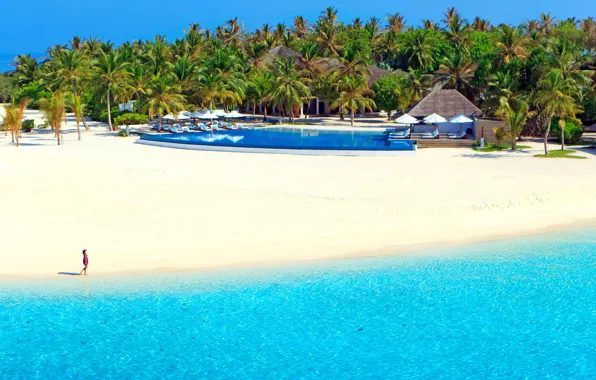 Картинка песок, море, пляж, солнце, тропики, пальмы, отдых, берег, остров, бассейн, Мальдивы, курорт, шезлонги, Velassaru