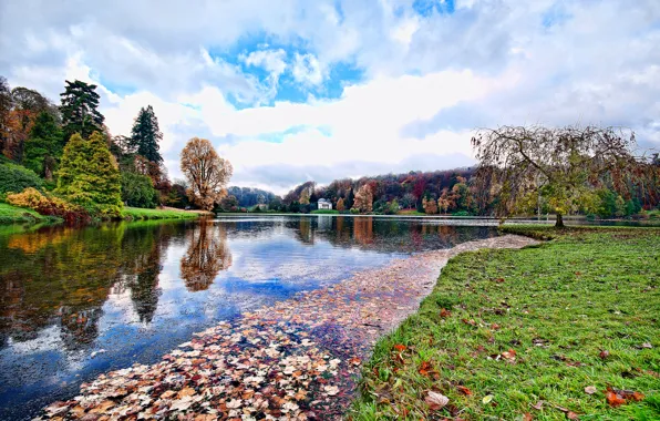 Картинка осень, небо, облака, деревья, пруд, Англия, беседка, England, Wiltshire