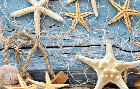 Картинка песок, wood, marine, морские звезды, starfish, net, seashells