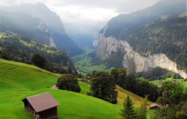 Картинка деревья, горы, скалы, Швейцария, долина, склон, деревня, панорама, дымка, домики, ущелье, Lauterbrunnen