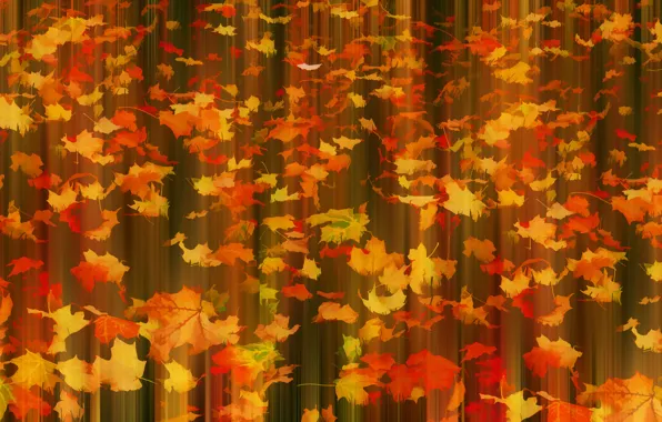 Картинка осень, листья, Fall in motion