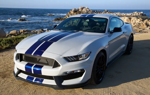 Картинка Mustang, Ford, Shelby, мустанг, форд, GT350, 2015