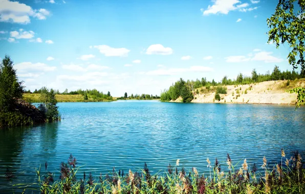 Картинка природа, озеро, красота, Тула, Узловая, Киреевск