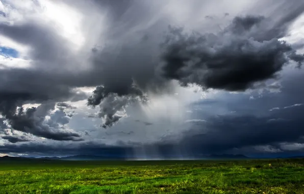 Картинка поле, пейзаж, тучи, дождь, Mongolia