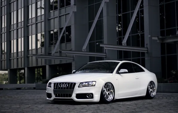 Картинка Audi, ауди, тюнинг, белая, white