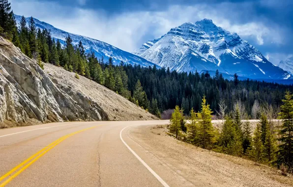 Картинка дорога, лес, деревья, пейзаж, горы, скалы, поворот, ели, Канада, Альберта, Alberta, Canada, Jasper National Park, …