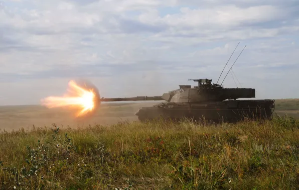 Картинка трава, огонь, танк, боевой, канадский, Leopard-C2