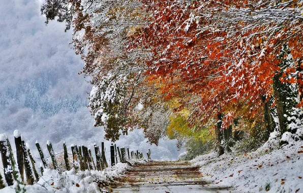 Картинка осень, снег, природа, Франция, Ноябрь