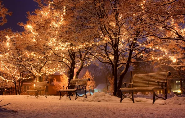 Картинка зима, снег, ночь, city, город, lights, улица, скамейки, night, winter, snow, street, benches