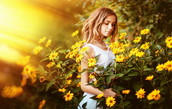 Картинка лето, солнце, цветы, девочка
