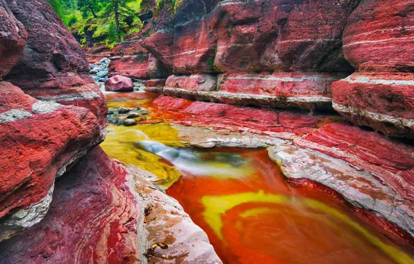 Картинка природа, ручей, скалы, Канада, Альберта, Alberta, Canada, Red Rock Canyon, каньон красных камней