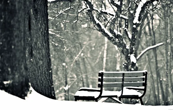 Картинка зима, снег, деревья, скамейка, фон, widescreen, обои, настроения, лавочка, лавка, wallpaper, скамья, широкоформатные, winter, background, …