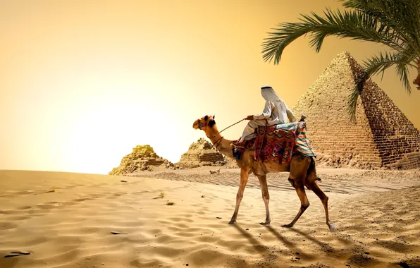 Картинка песок, небо, солнце, пальма, камни, пустыня, жара, верблюд, Египет, пирамиды, бедуин, Cairo