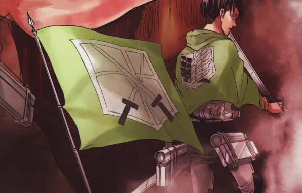 Картинка флаг, эмблема, клинки, военная форма, Shingeki no Kyojin, со спины, привод, Вторжение Гигантов, Levi Ackerman, …