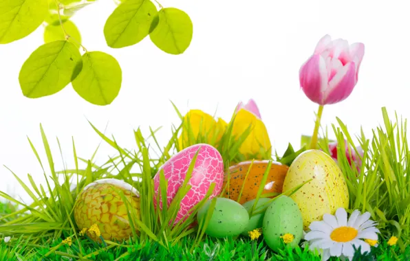 Картинка цветы, яйца, Пасха, тюльпаны, Easter