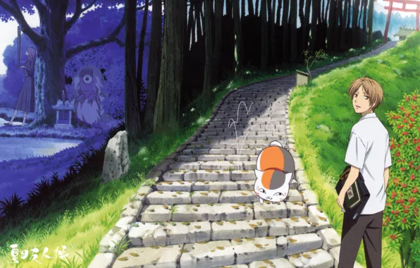 Картинка дорога, кот, дерево, ворота, школьница, алтарь, Тетрадь дружбы Нацумэ, ёкай, Nyanko-sensei, Takashi Natsume, Natsume Yuujin-Chou, …