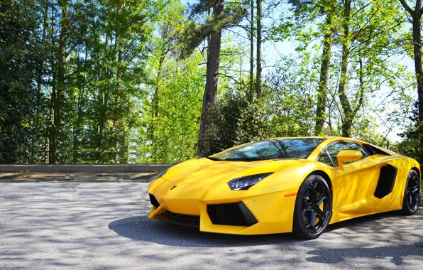 Картинка Lamborghini, Yellow, Aventador