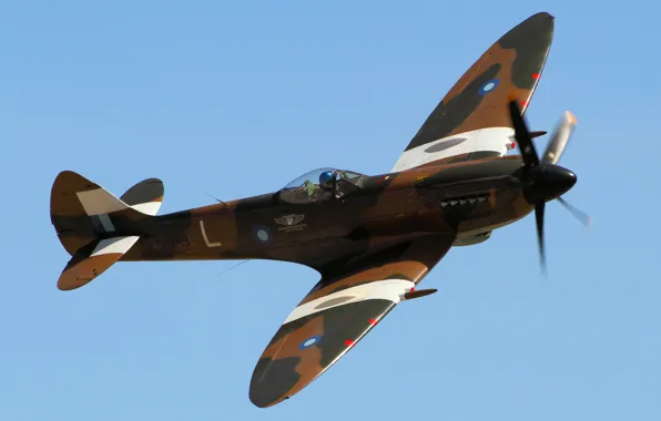 Картинка истребитель, британский, одномоторный, Supermarine, Spitfire Mk. XIV