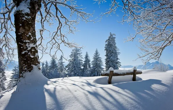 Картинка зима, лес, небо, снег, пейзаж, скамейка, природа, парк, white, forest, sky, landscape, nature, park, beautiful, …