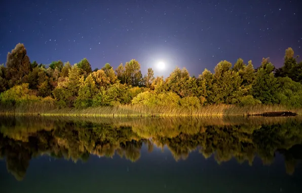 Картинка звезды, отражение, зеркало, лунный свет, деревья озеро