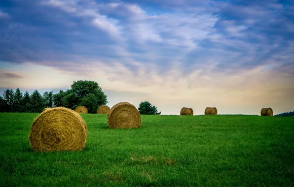 Картинка поле, небо, трава, облака, сено, фермы