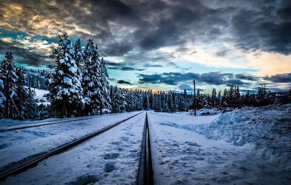 Картинка зима, лес, снег, деревья, закат, тучи, рельсы, железная дорога