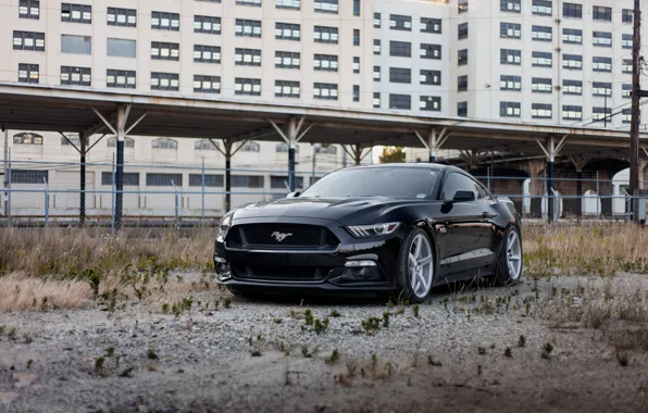 Картинка Mustang, Ford, Black, 5.0, 2015