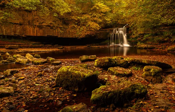 Картинка лес, деревья, скала, ручей, камни, водопад, поток
