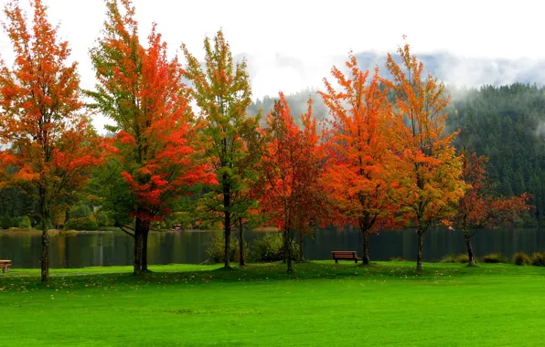 Картинка осень, лес, небо, листья, вода, деревья, горы, скамейка, природа, парк, река, colors, colorful, forest, river, …