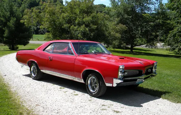 Картинка red, Pontiac, GTO, 1967