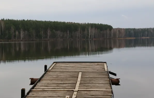 Картинка лес, мост, озеро, пруд, отражение, пасмурно, старый